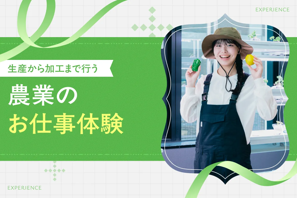 農業のお仕事体験