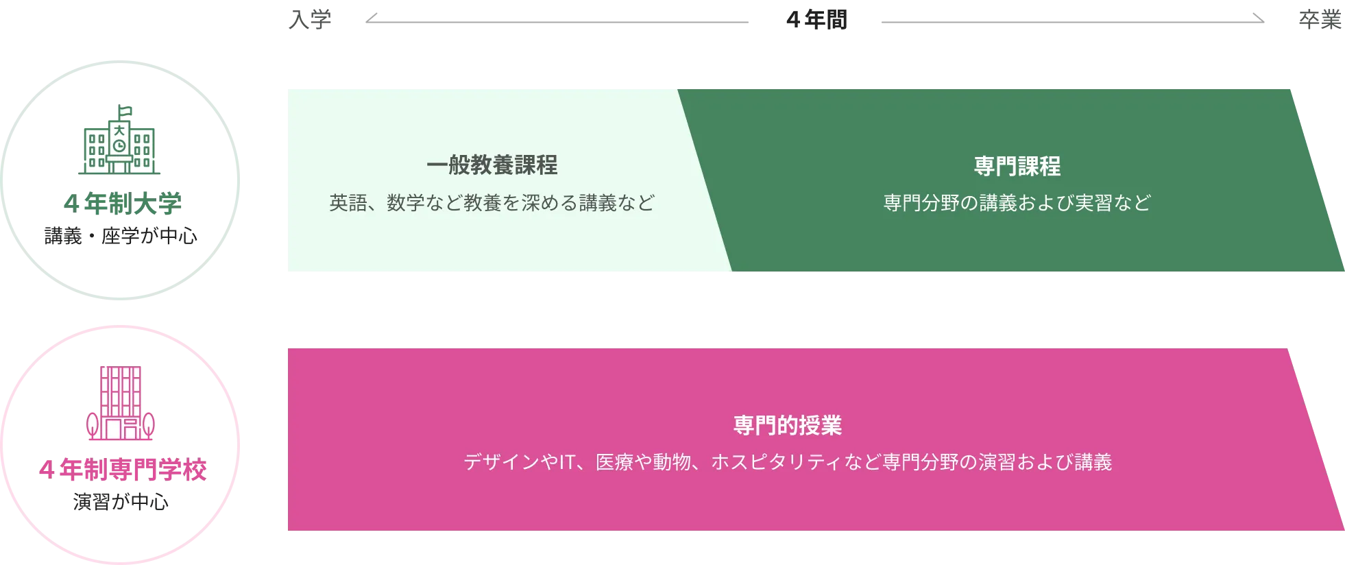 4年制大学と4年制専門学校の授業の密度を比較した図