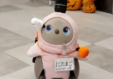 登校の写真
