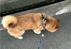 朝活の写真