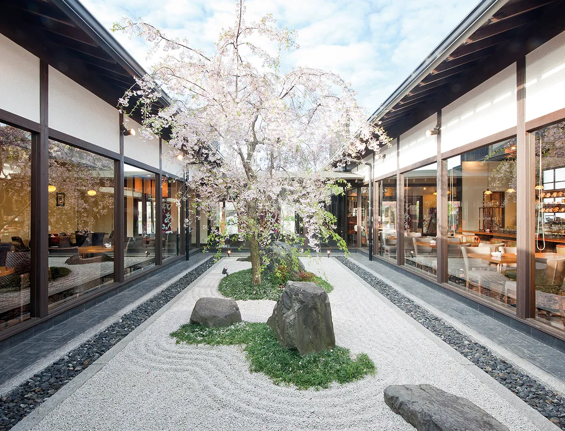 桜珈琲